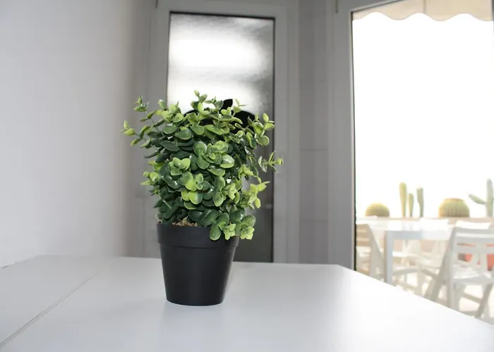 Frente Al Mar * Radazul