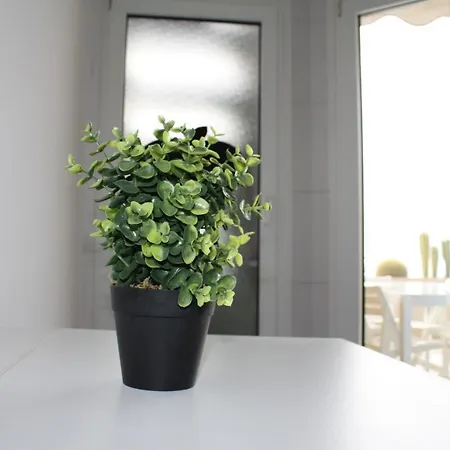 Frente Al Mar * Radazul